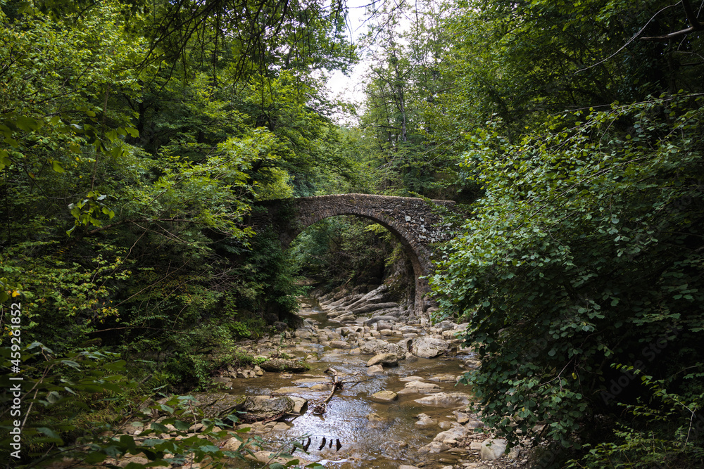 Salgueda bridge, on the way to the Salt del Molí waterfall from Vidrà, Catalonia, Spain Salgueda bridge, on the way to the Salt del Molí waterfall from Vidrà, Catalonia, Spain