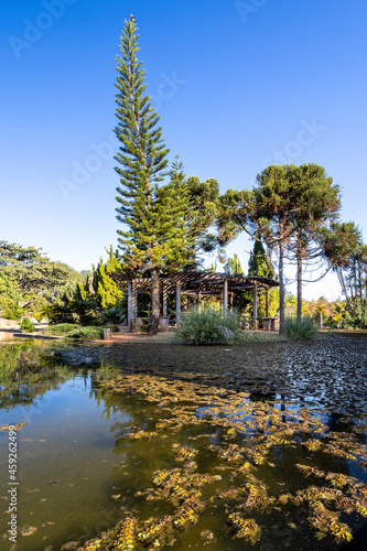 View of a cabin surrounded by pine trees and a lake in central-western Brazil. Blue sky.