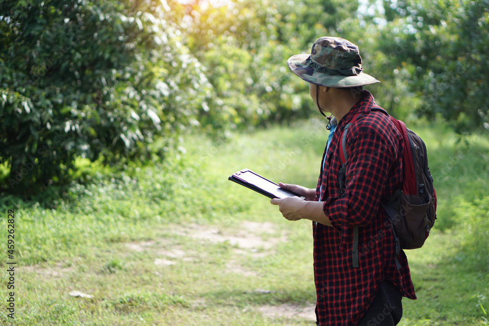 Asian male backpack hiker travel alone in forest , survey and collect information of botanical plants by using smart tablet. Concept :  backpacking tourism, adventure, Environment field research.     