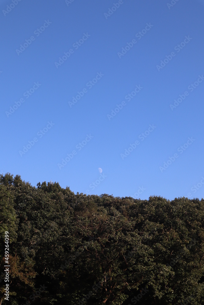 Obraz premium early moon in the sky