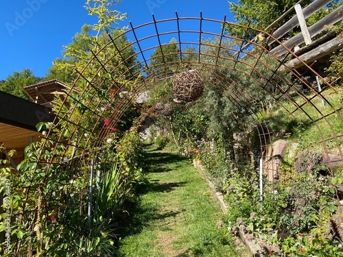 Rose Garden Uhrerhof (The highest rose garden in Europe) or Rosarium Uhrerhof (Höchstgelegener Rosengarten Europas) or Roseto Ortisei - South Tyrol, Italy (Südtirol, Italien) photo