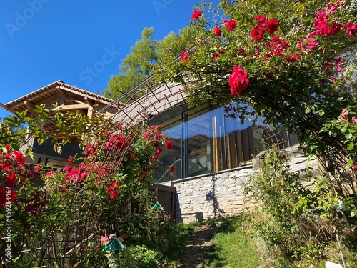 Rose Garden Uhrerhof (The highest rose garden in Europe) or Rosarium Uhrerhof (Höchstgelegener Rosengarten Europas) or Roseto Ortisei - South Tyrol, Italy (Südtirol, Italien) #459264467