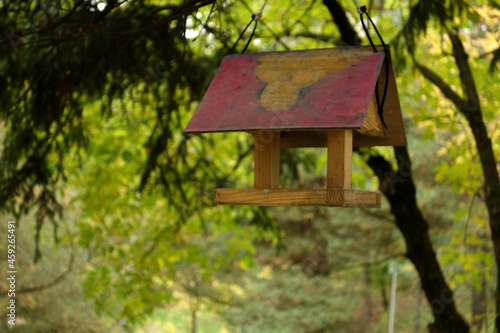 birdhouse among the trees