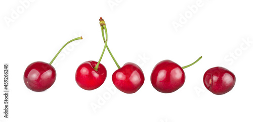 Sweet cherry fruits isolated on a white background