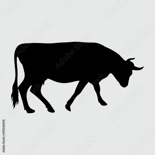 Cow Silhouette, Cow Isolated On White Background