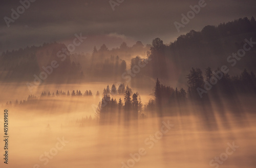 Jesienne mgły - Beskidy - Istebna © mycatherina
