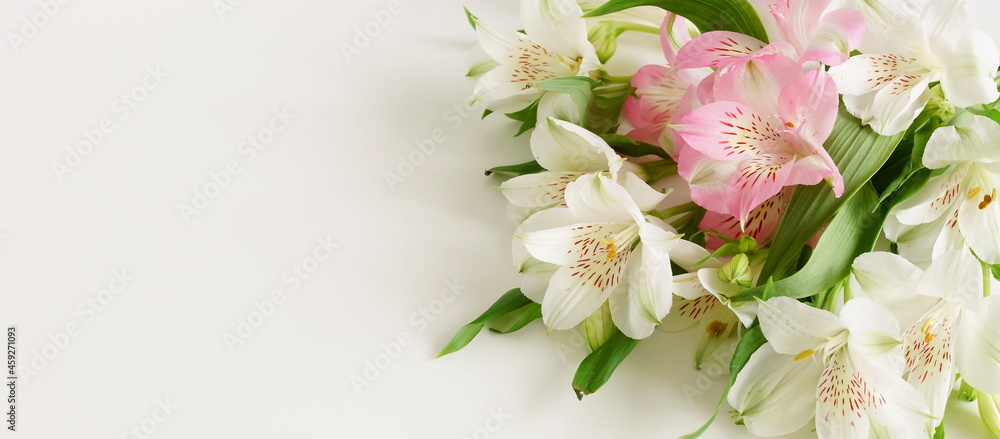 Flowers background banner with copy space top view. Alstroemeria flowers bouquet on white background  template.Floral card.