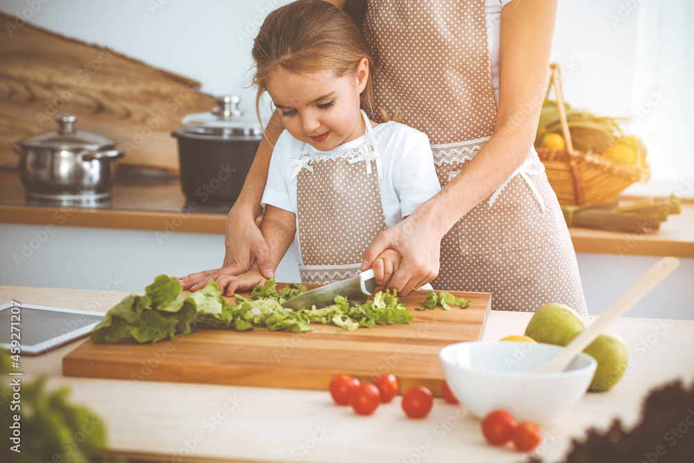 Happy woman and her daughter making healthy vegan salad and snacks for family feasting in sunny kitchen. Christmas, New year, Thanksgiving, Anniversary, Mothers Day. Healthy meal cooking concept Happy woman and her daughter making healthy vegan salad and snacks for family feasting in sunny kitchen. Christmas, New year, Thanksgiving, Anniversary, Mothers Day. Healthy meal cooking concept