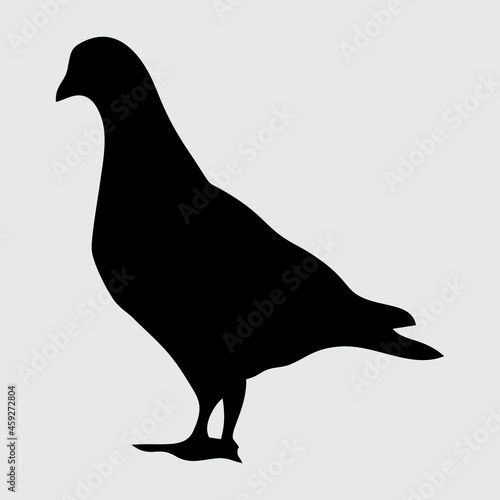 Dove Silhouette, Dove Isolated On White Background