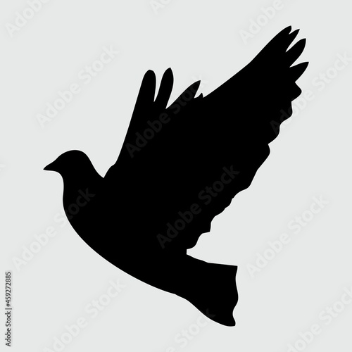 Dove Silhouette, Dove Isolated On White Background