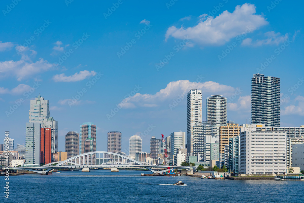 Fototapeta premium 【東京都】都市風景 隅田川河口 （竹芝埠頭から）