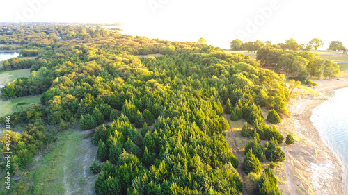 Aerial view lush green pine trees at Ticky Creek Park, northern end of Lake Lavon in Princeton, Texas, USA photo
