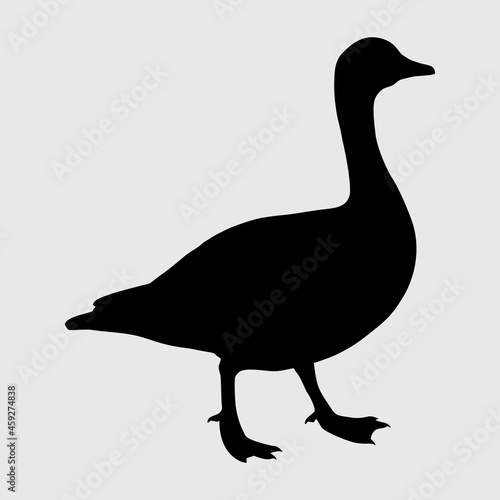 Duck Silhouette, Duck Isolated On White Background