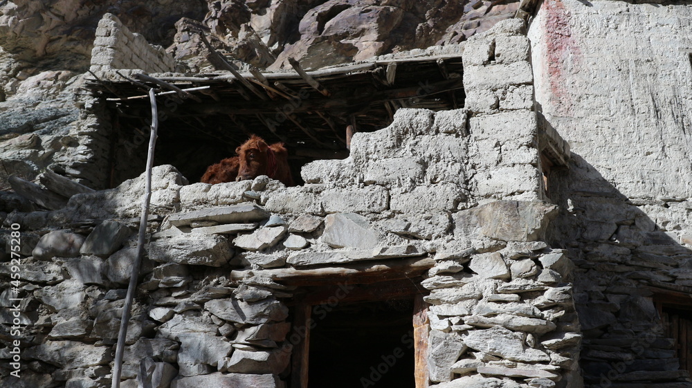 Beautiful landscape of Ladakh in India Beautiful landscape of Ladakh in India