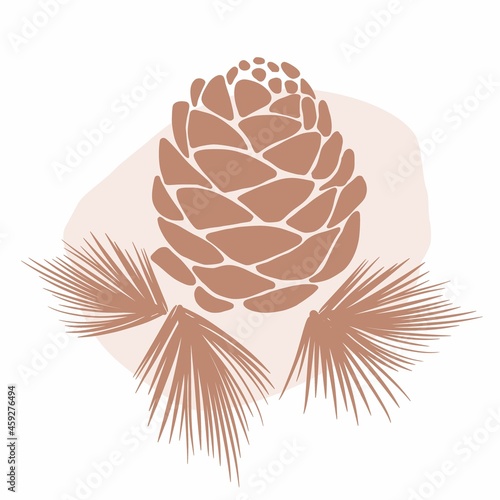 Cedar cone drawing