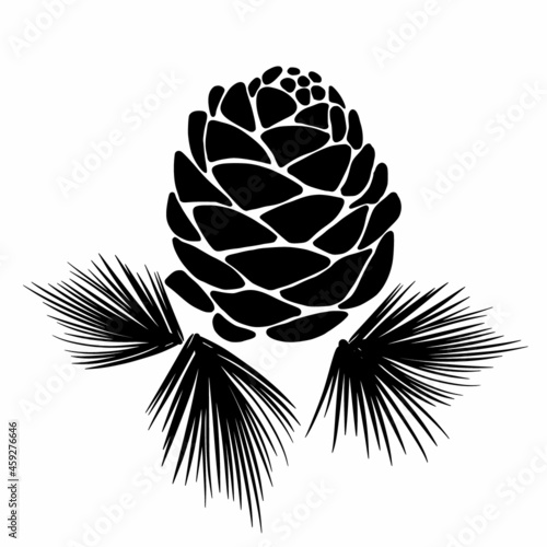 Cedar cone drawing