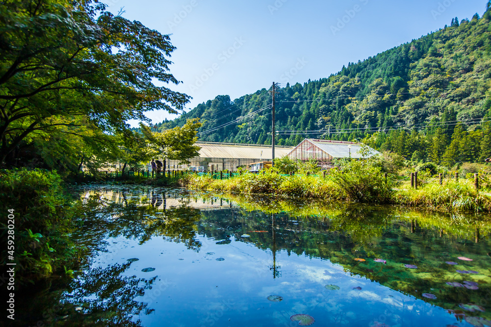 岐阜県関市　モネの池