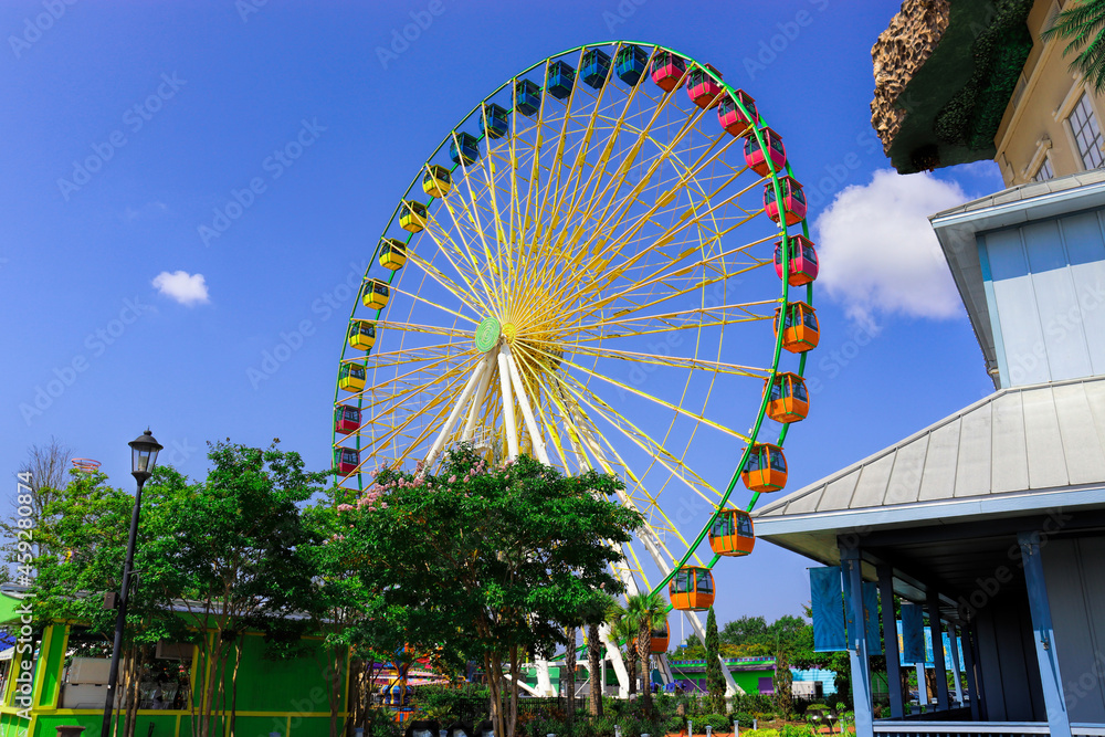 Fototapeta premium Ferris wheel in the city, Myrtle Beach, SC