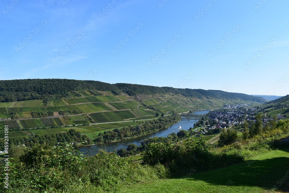 Fototapeta premium Moseltal bei Reil