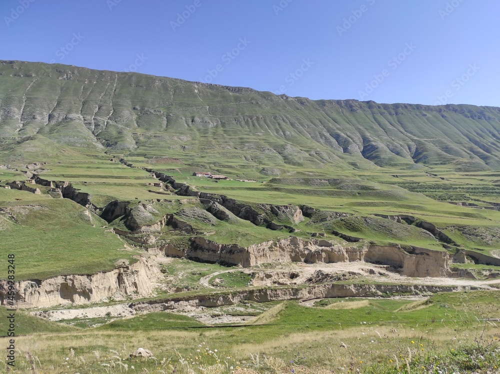 Naklejka premium mountains covered with green grass