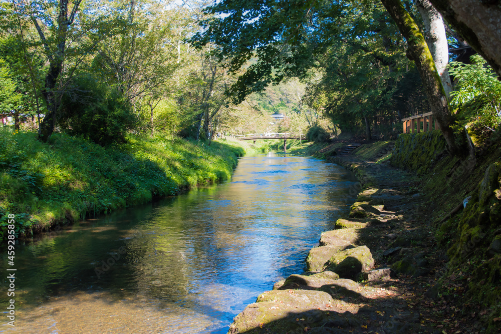 Obraz premium 忍野八海の阿原川