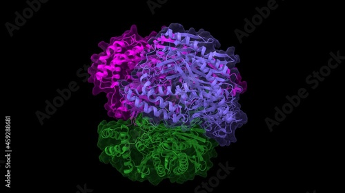 Crystal structure of human polynucleotide phosphorylase, animated 3D cartoon and Gaussian surface models, PDB 3u1k, black background. photo