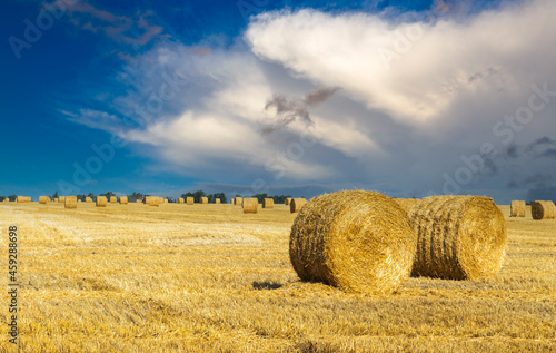 Rural landscape with rolled haystack. summer landscape with a beautiful sunset, nature field, summer, clouds.