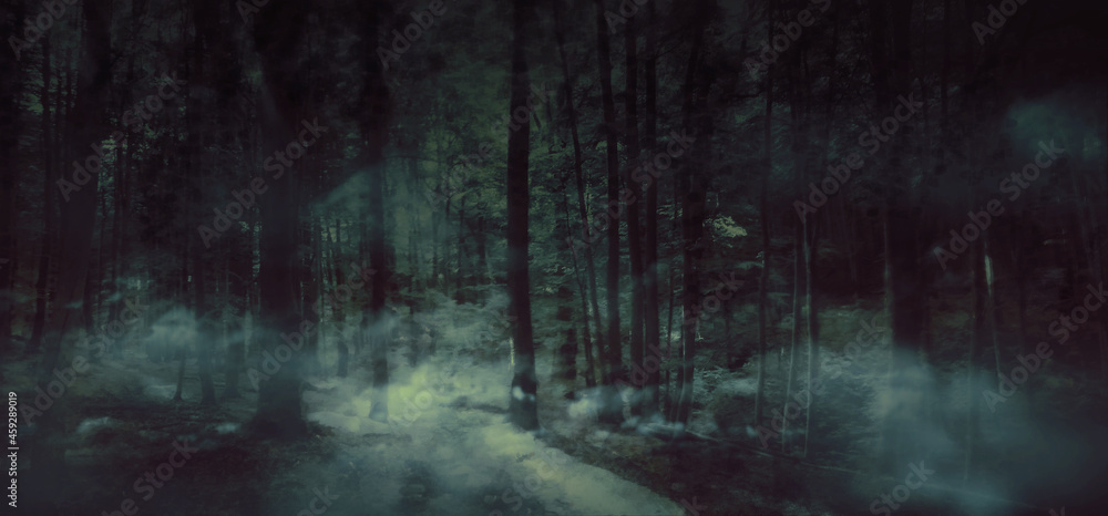 Halloween misty dark background. Forest trees