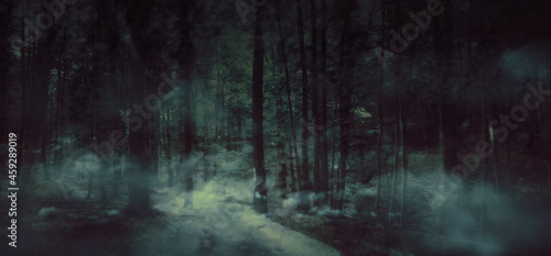 Halloween misty dark background. Forest trees