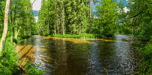 Fluss Wolfensteiner Ohe im Bayrischen Wald