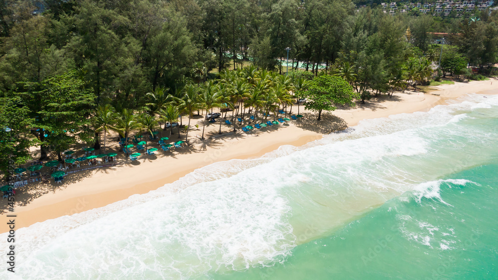 beach in the summer