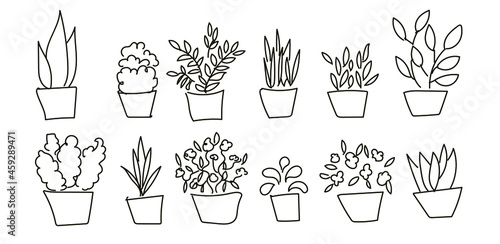 Set of houseplants in doodles pots.