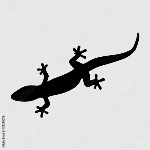 Lizard Silhouette, Lizard Isolated On White Background