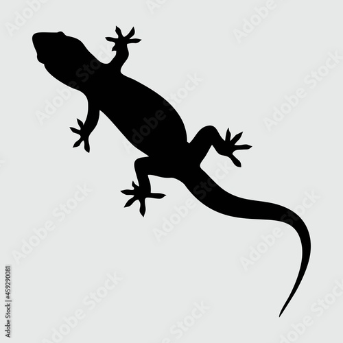 Lizard Silhouette, Lizard Isolated On White Background
