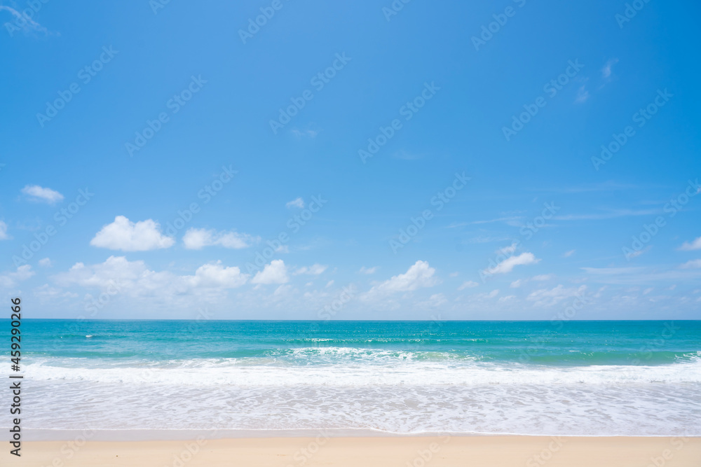 Fototapeta premium Amazing palms on island blue sky and clouds background. sun light in summer