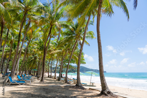 People relaxing on umbrellas beach summer day.Coconut trees beside blue sky white clouds 