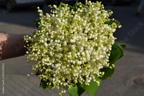 bouquet of flowers