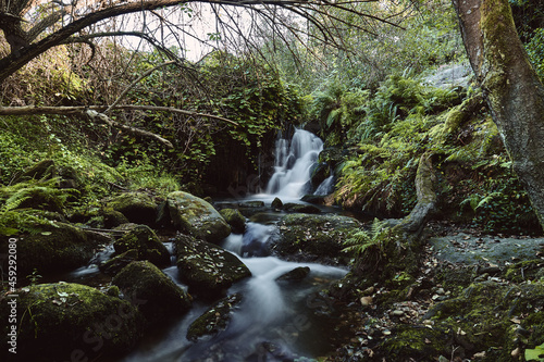 Mountain river waterfall landscape. Waterfall forest mossy rocks