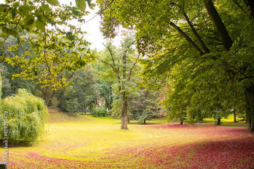 Krajobraz w parku jesienią