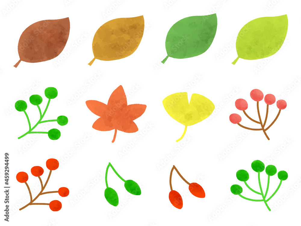 イラスト素材 秋の植物セット 葉っぱ 木の実 Stock Illustration Adobe Stock
