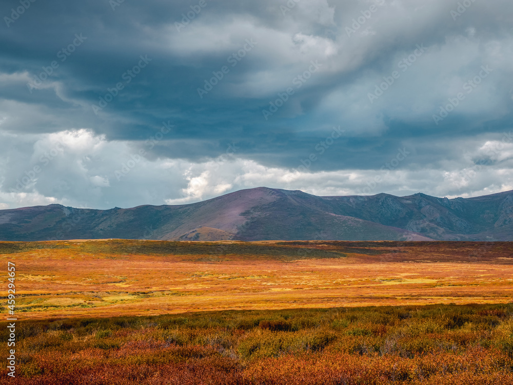 Minimalistic motley autumn landscape with yellow dwarf birch on hills and beautiful rocky mountains in sunlight under dramatic sky. Multicolor mountain scenery with unusual rocks in autumn colors