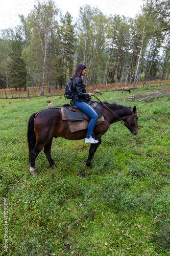 Horseback riding in the Altai mountains © evgenii