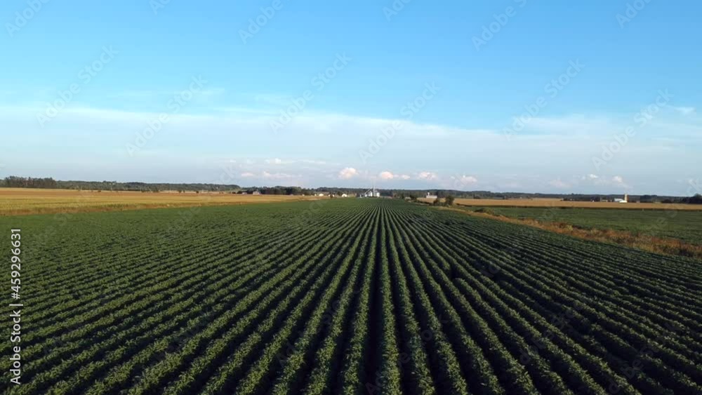 ariel view of a farmers field on a sunny day ariel view of a farmers field on a sunny day