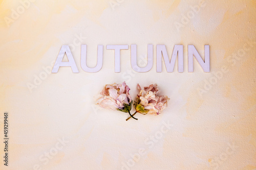 The word, AUTUMN, spelled out in capital letters written horizontally with dried flowers; the word, AUTUMN, placed on a yellow painterly background with room for text