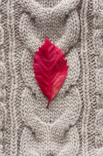 Autumn red leaf on a knitted gray background.
