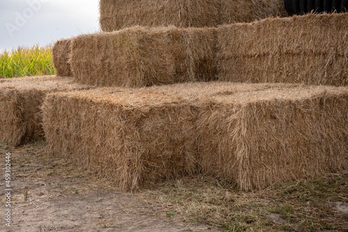 bales of hay