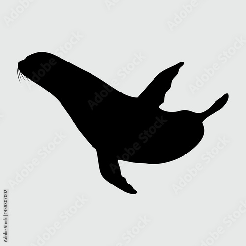 Sea Lion Silhouette, Sea Lion Isolated On White Background
