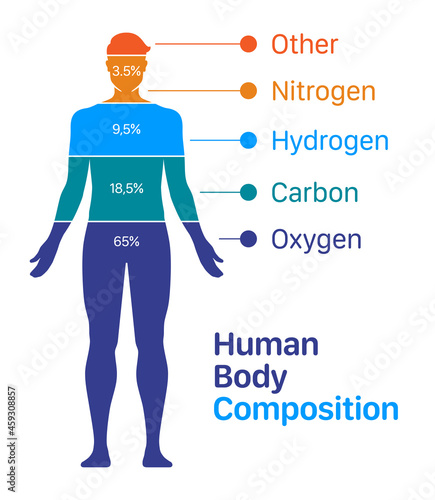 Human body composition chart vector illustration. List of chemical elements contained within a human body.