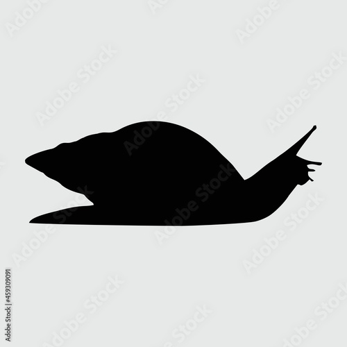Snail Silhouette, Snail Isolated On White Background