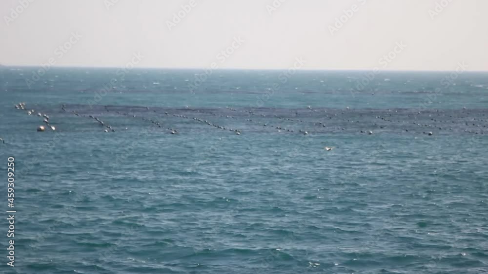 Beautiful Seascape in Cheongsapo, Haeundae Beach, Busan. Beautiful Seascape in Cheongsapo, Haeundae Beach, Busan.